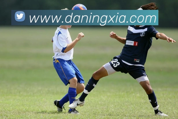 九游j9官网首页APP 封面图